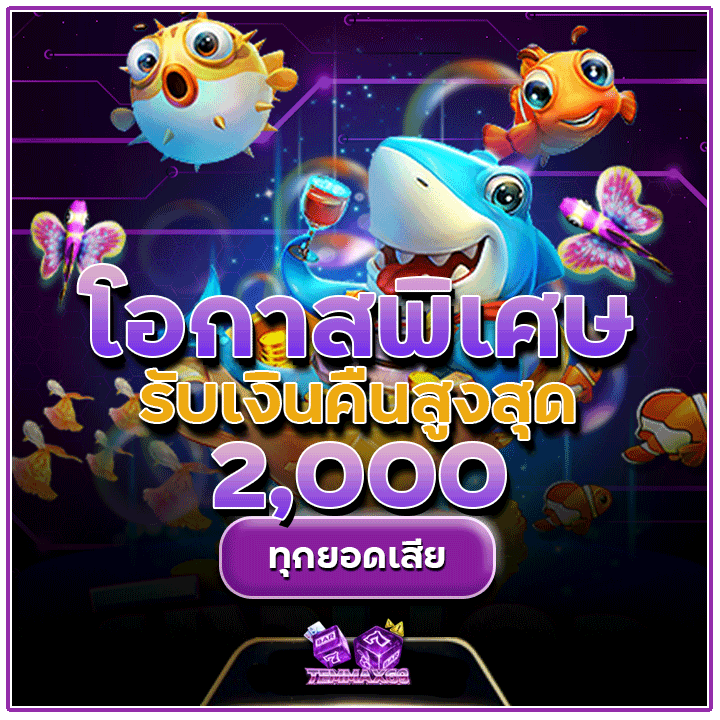 เงินคืนสูงสุด 2,000 ทุกยอดเสีย